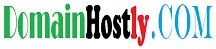 DomainHostly logo